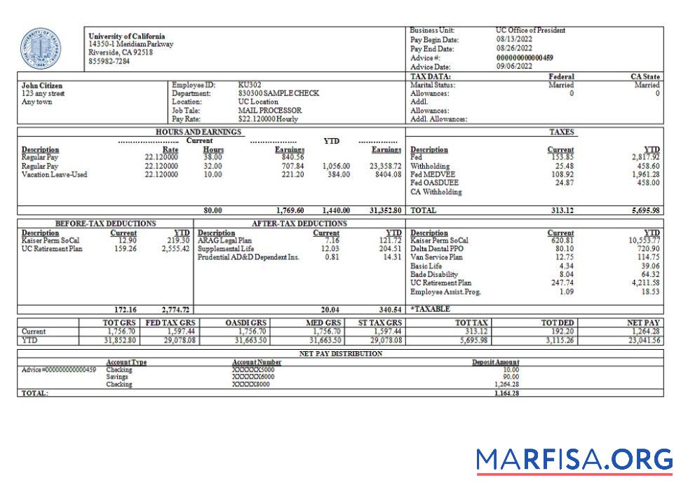 Downloadable USA University of California educational company pay stub template